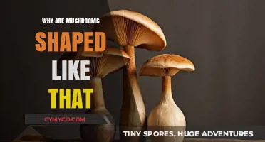 Unveiling Nature's Design: The Fascinating Shape of Mushrooms Explained