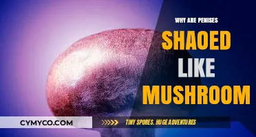 Exploring the Unique Shape of Penises: A Mushroom Analogy