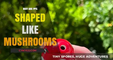 Exploring the Quirky World of Mushroom-Shaped PPS: A Fascinating Journey