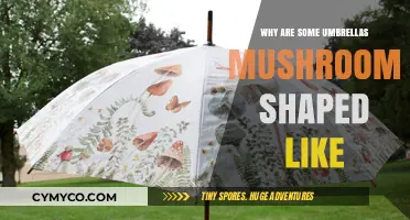 Exploring the Whimsical World of Mushroom-Shaped Umbrellas: A Design Journey