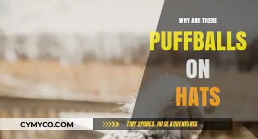 Exploring the Quirky World of Puffballs on Hats: A Fashion Mystery