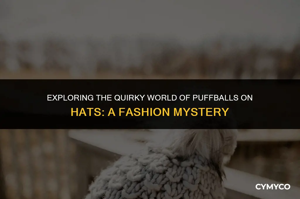 why are there puffballs on hats