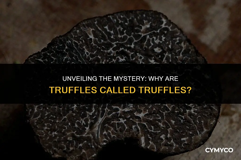 why are truffles called truffles