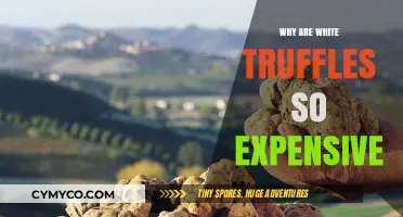 The Luxury of White Truffles: Unveiling the Secrets Behind Their High Price Tag