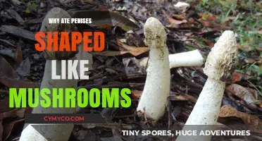 Exploring the Intriguing Connection: Penises and Mushrooms