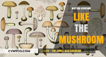 The Surprising Popularity of Mushrooms: A Culinary Mystery Unveiled