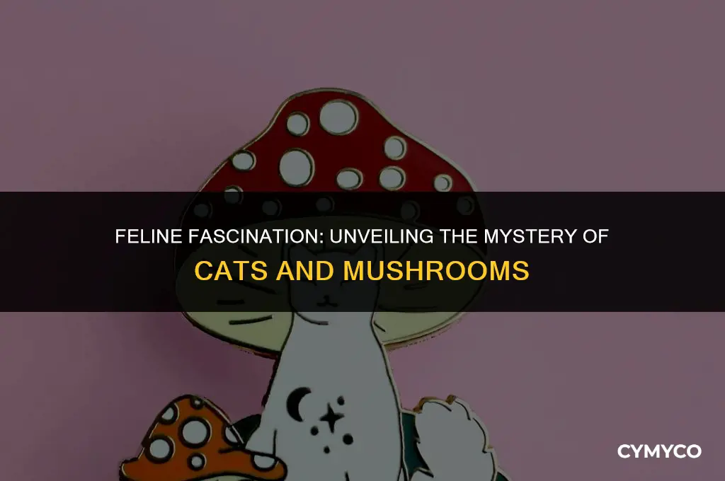 why do cats like mushrooms