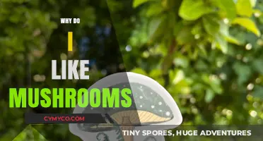 Exploring Mycological Marvels: A Journey into Mushroom Affinity