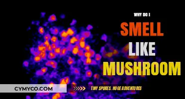 Unveiling the Mystery: Why Your Scent Reminds Others of Mushrooms