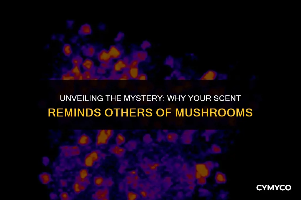 why do i smell like mushrooms