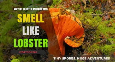 The Surprising Reason Behind Lobster Mushrooms' Seafood-Like Aroma