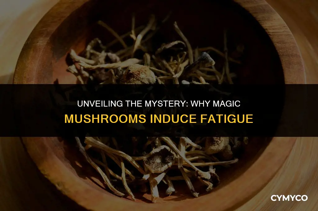 why do magic mushrooms make me tired