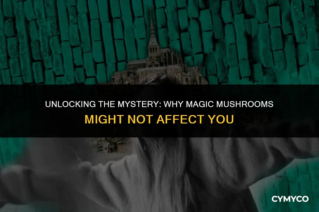 why do magic mushrooms not work on me