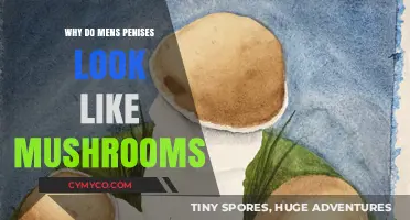 Exploring the Unique Shape of Male Genitalia: A Mycological Analogy