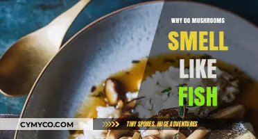 The Surprising Connection: Why Mushrooms Might Smell Like Fish