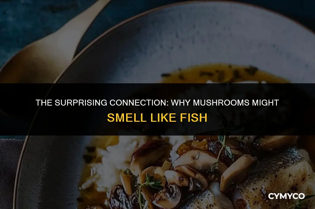 why do mushrooms smell like fish