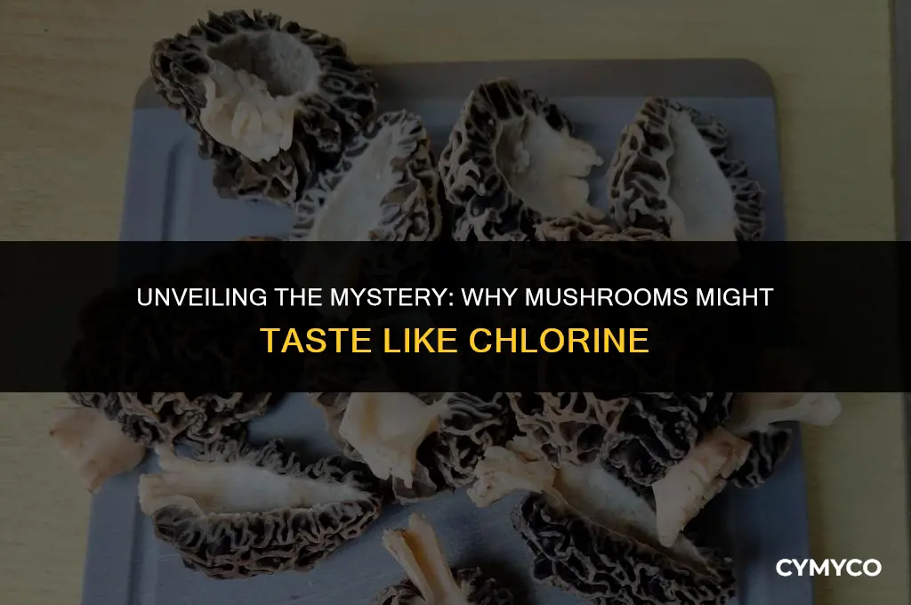 why do mushrooms taste like chlorine