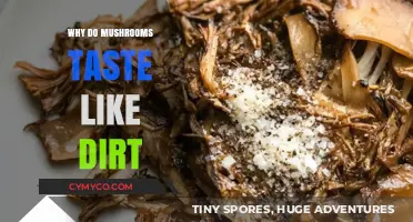 Exploring the Earthy Flavor: Why Mushrooms Taste Like Dirt