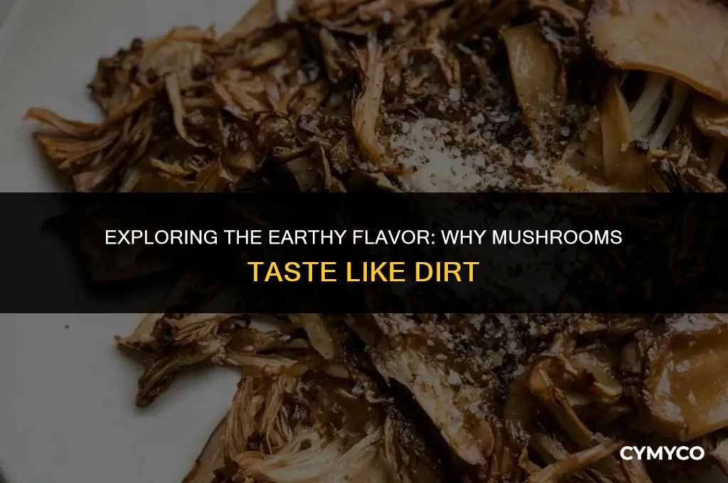 why do mushrooms taste like dirt
