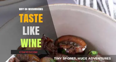 Uncorking Nature's Secret: The Surprising Wine-Like Taste of Mushrooms