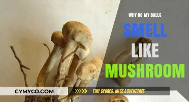 Unusual Odor Down There: Possible Causes and Solutions