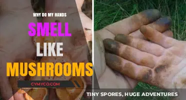 Unveiling the Mystery: Why Do My Hands Smell Like Mushrooms?