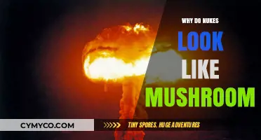 Exploring the Iconic Mushroom Shape of Nuclear Explosions