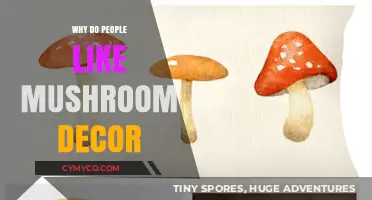 Exploring the Fascination: Why Mushroom Decor Has Captured Hearts
