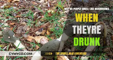 The Surprising Connection: Alcohol Consumption and Mushroom-Like Odor