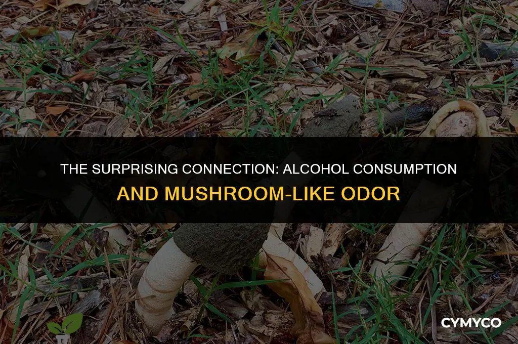 why do people smell like mushrooms when theyre drunk