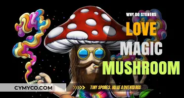 Exploring the Synergy: Stoner's Guide to Magic Mushrooms