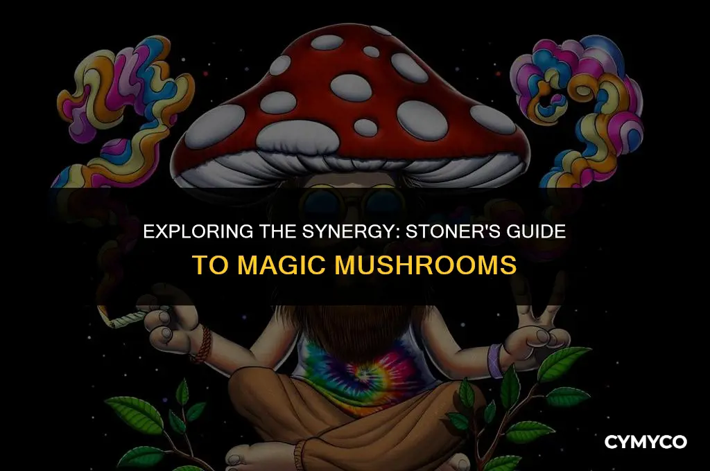 why do stoners love magic mushrooms