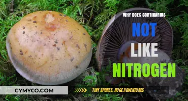 Why Cortinarius Mushrooms Shun Nitrogen-Rich Soils: Unraveling the Mystery
