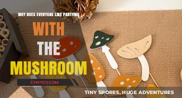The Alluring Appeal of Partying with the Mushroom
