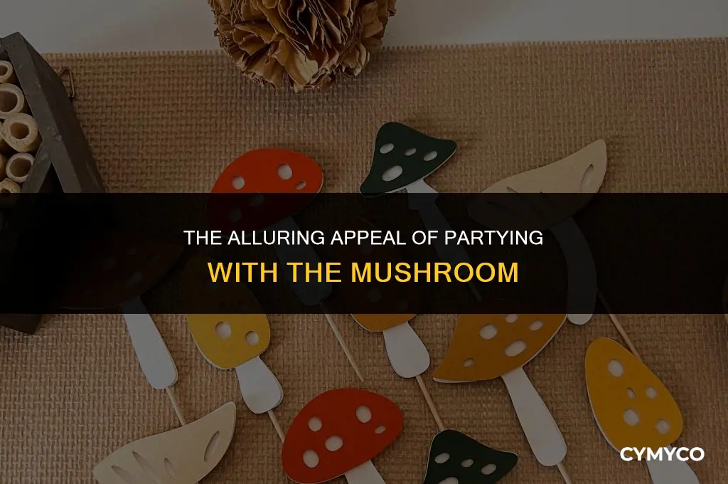 why does everyone like partying with the mushroom