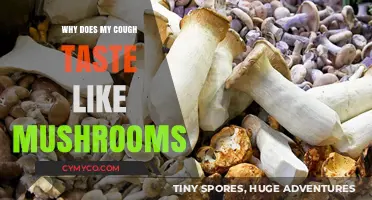 Unraveling the Mystery: Why Does My Cough Taste Like Mushrooms?