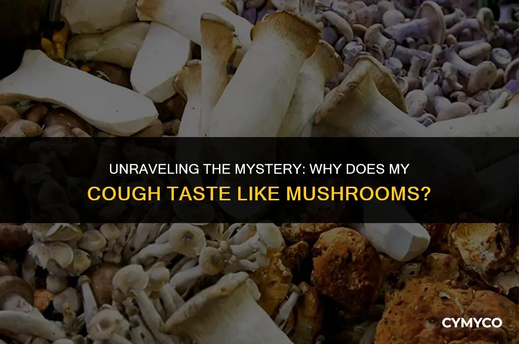 why does my cough taste like mushrooms