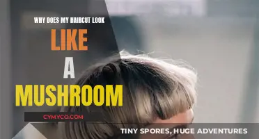 The Mushroom Effect: Understanding Your Unintentional Hairstyle Transformation