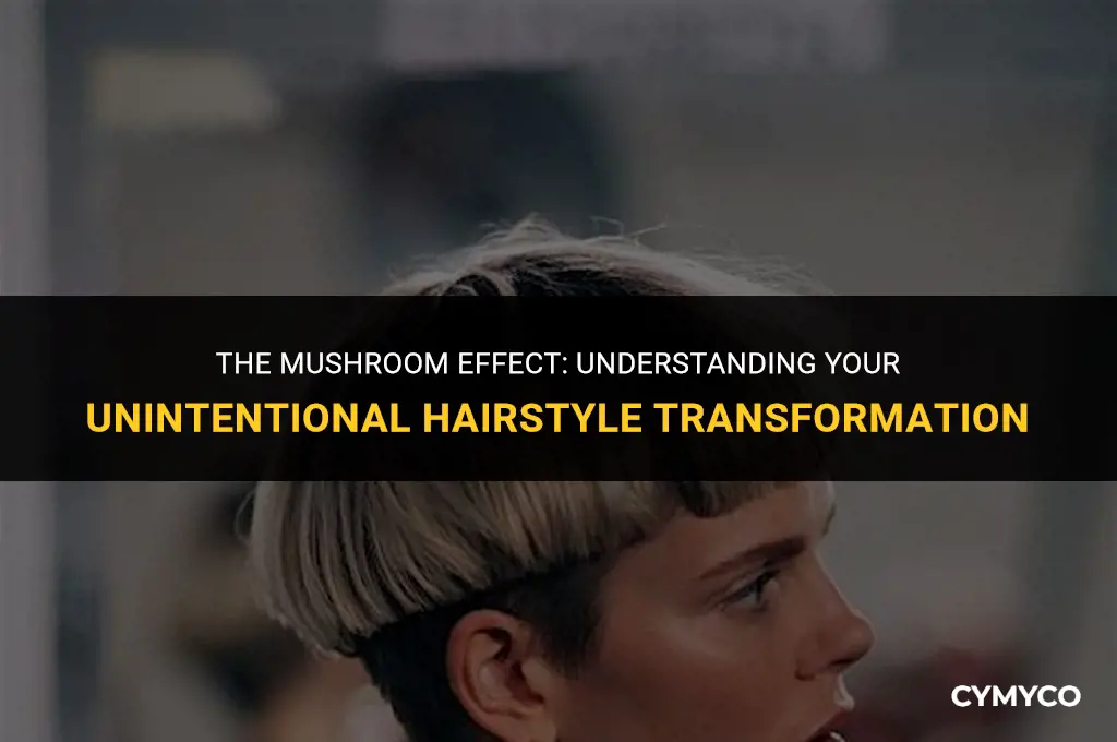 why does my haircut look like a mushroom