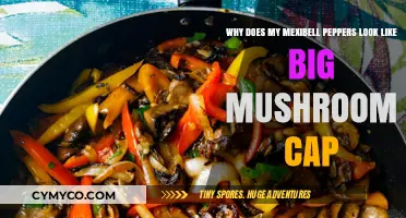 Unveiling the Mystery: Mexibell Peppers' Mushroom-like Transformation