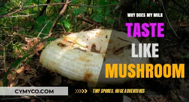 Unusual Flavor Alert: Why Your Milk Might Taste Like Mushrooms