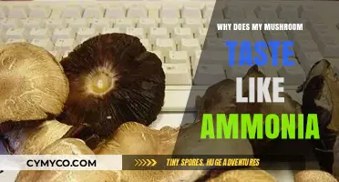 Unraveling the Mystery: Why Your Mushroom Tastes Like Ammonia