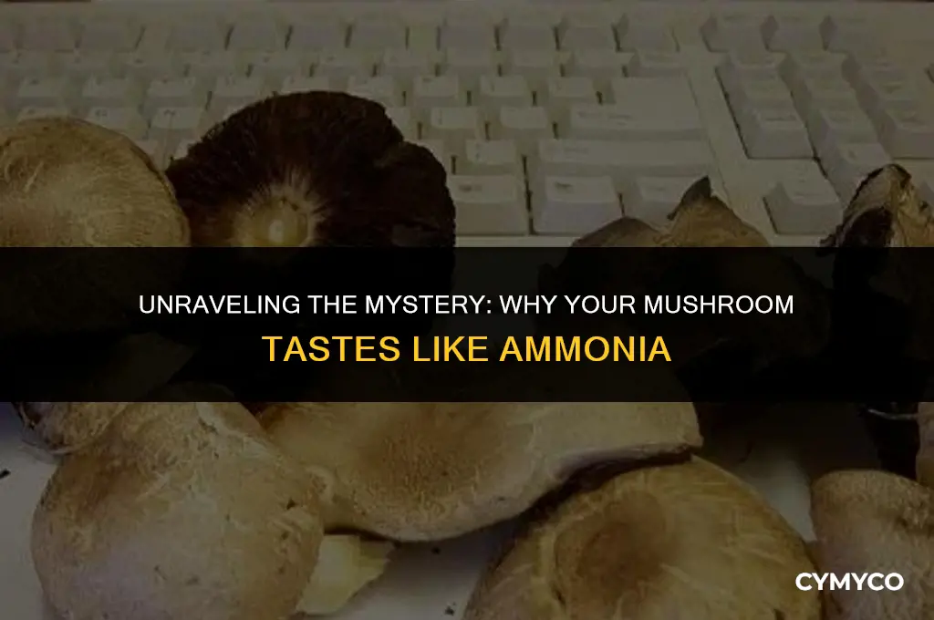 why does my mushroom taste like ammonia