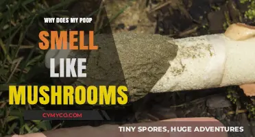 Unraveling the Mystery: Why Does My Poop Smell Like Mushrooms?