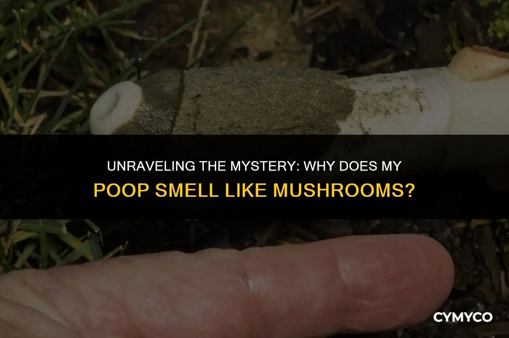 why does my poop smell like mushrooms