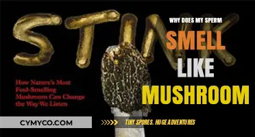 Unusual Scent Alert: Why Your Sperm Might Smell Like Mushrooms