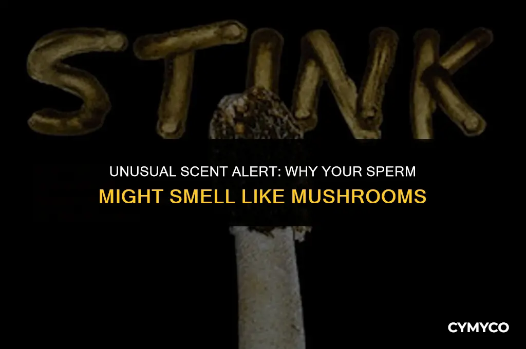 why does my sperm smell like mushrooms