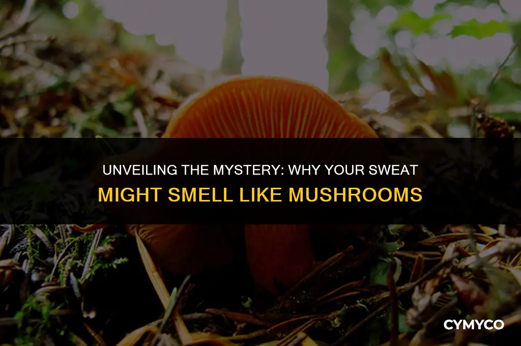 why does my sweat smell like mushrooms