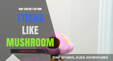 Feline Food Preferences: The Mushroom Mystery Unveiled