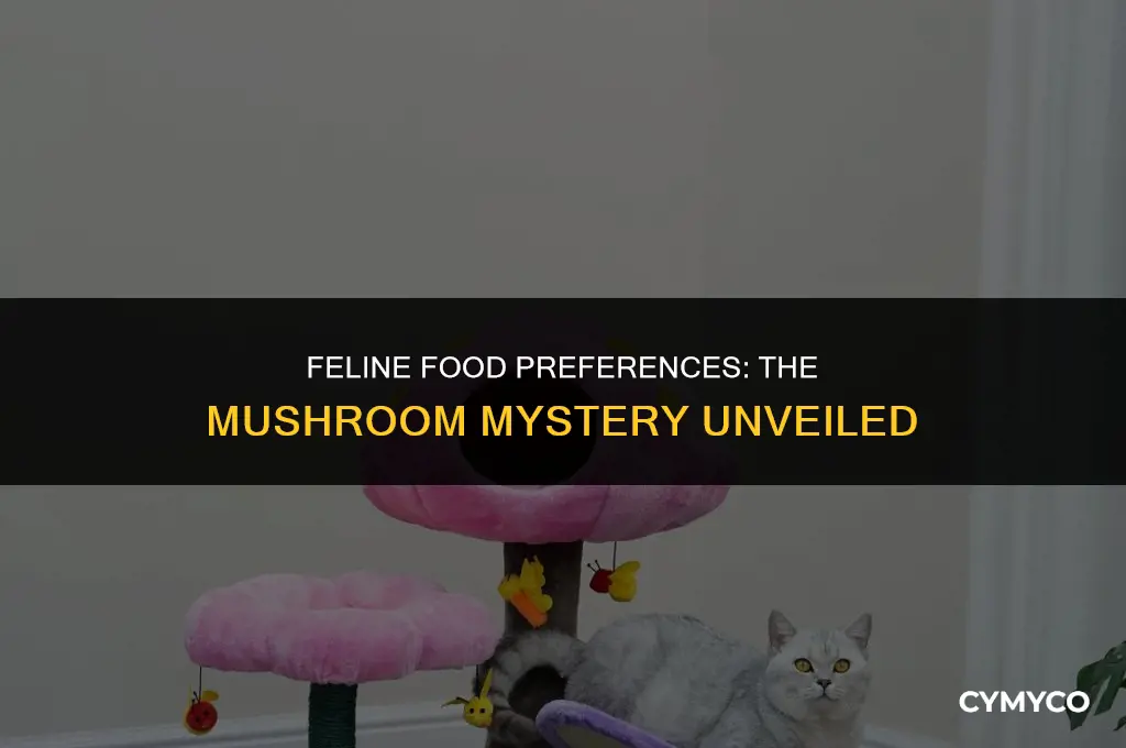 why doesn